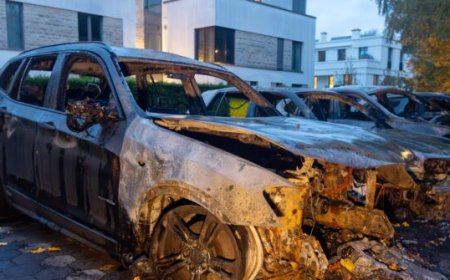 Antifa Radicals Admit to Arson Attack on AfD Lawmaker's Car with 'Incendiary Device'