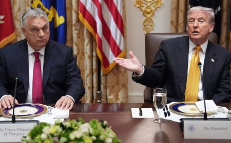 Live updates: Trump, Orbán float Budapest summit with Putin; flight cancellations hit US airports