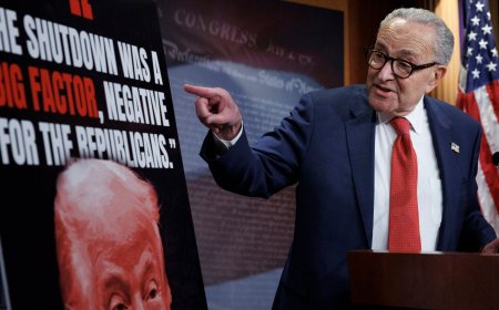 Why Democrats Love the Shutdown