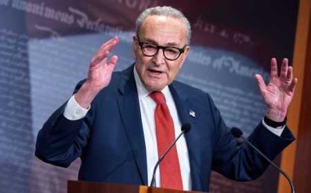Schumer offers plan to end shutdown on Senate floor