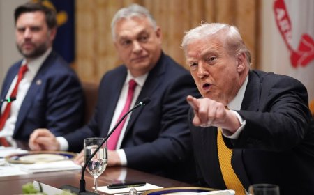 Trump lambasts NBC reporter over Walmart Thanksgiving meal question