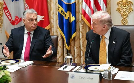 Orbán emphasizes to Trump that Hungary survives today as Christian 'island of difference in a liberal ocean'