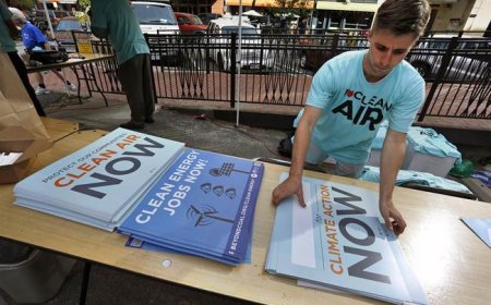 Sierra Club Is 'in a Downward Spiral' Thanks to Social Justice Activists