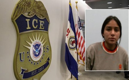 ICE arrests illegal immigrant in Massachusetts accused of stabbing coworker with scissors, trash bin attack