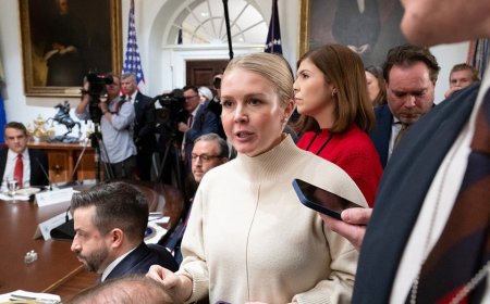 Hungarian leader says he wants to hire Karoline Leavitt after she rips 'fake news' in impromptu takedown