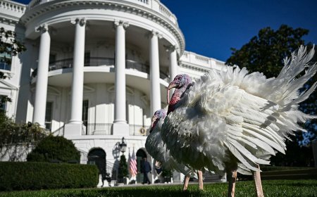 Fox News Poll: Holiday togetherness tops political differences