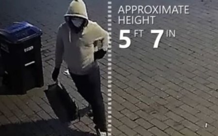 Pipe Bomber’s Actions Enabled Speaker Pelosi to Certify the 2020 Election for Joe Biden