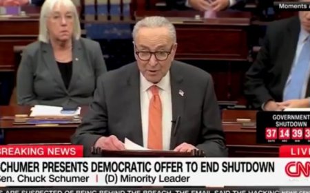 After Holding Americans Hostage for 38 Days, Schumer Unveils New, INSANE Plan to End Shutdown on Senate Floor (VIDEO)