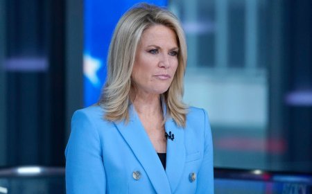 Martha MacCallum Schools Democrat Over Video Pushing Military Insurrection