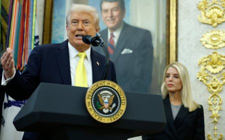 Trump Signed The Bill To Release The Epstein Files. What Happens Next?