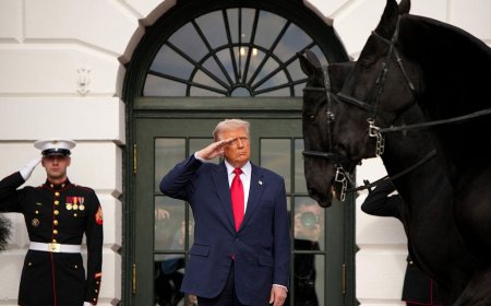 Democrats Urge Military To Disobey Orders From Trump Admin, Trigger Accusations Of Insurrection