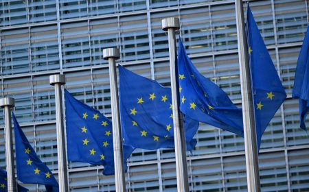 Europe Union ‘Ignored’ Free Speech Concerns, Plows Ahead With ‘Global Censorship Regime’