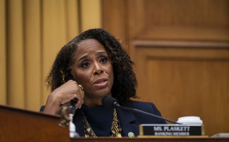 Democrats Shield Jeffrey Epstein’s Favorite Delegate From Censure