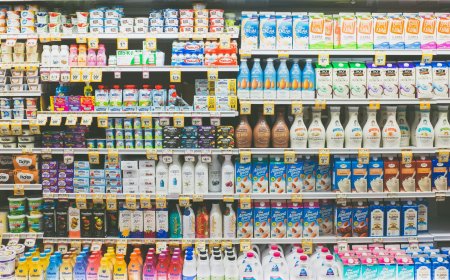 The Spectacle Ep. 301: Is the U.S. Economy As Good As President Trump Says It Is?