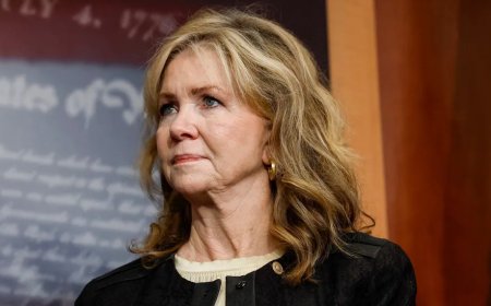 EXCLUSIVE: GOP Lawmaker Looks To Shield American Farmland From Taxpayer-Funded Solar Projects