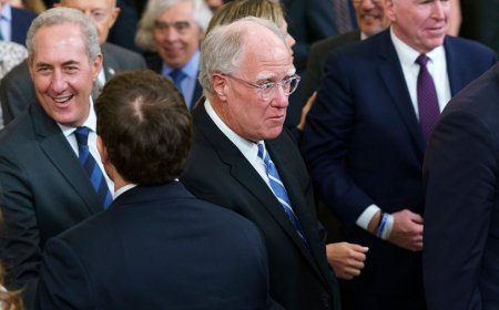 Senior Biden adviser knocks Democrats' 'betrayal': 'It was disloyal'