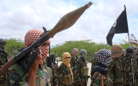Report: MN Somali Medicaid Fraud Investigation Reveals Terrorist Link — 'Largest Funder of Al-Shabaab is the Minnesota Taxpayer'