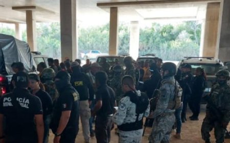 Canada Issues Another Travel Advisory as Cartel Violence Increases in Mexico