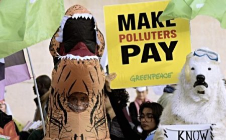 Australia Concedes Defeat to Turkey: Gives up on Hosting 2026 COP31 Climate Doomer Summit