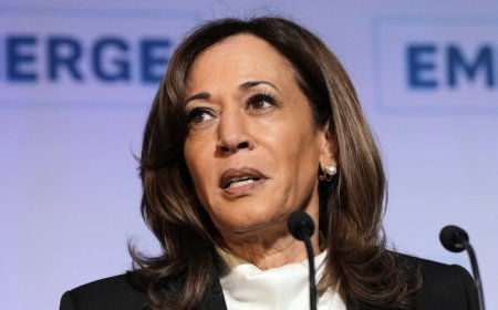 Kamala Finally Comments on the Epstein Files - and There's a Big Question the Media Has for Her