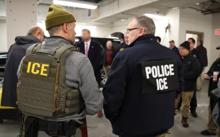 7th Circuit Again Pauses District Court Ruling - This Time on Release of Illegal Alien Detainees