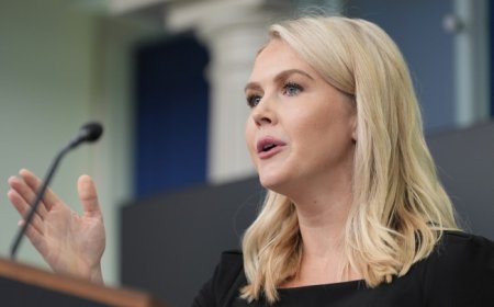 Karoline Leavitt Drops Mic on Dems Calling on Troops to Defy Orders