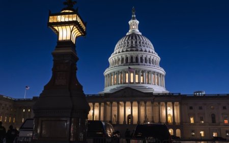 Dems Want to Make It Harder to Censure Them; They Should Stop Doing Things Worthy of It Instead