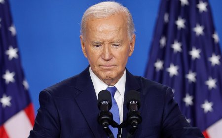 Ex-Biden advisor tears into disloyal Democratic Party, says forcing Biden out was 'undemocratic'