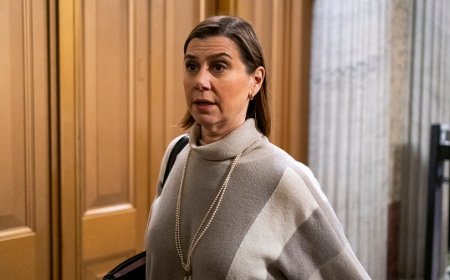 Slotkin: Trump should 'button it up' over troops furor