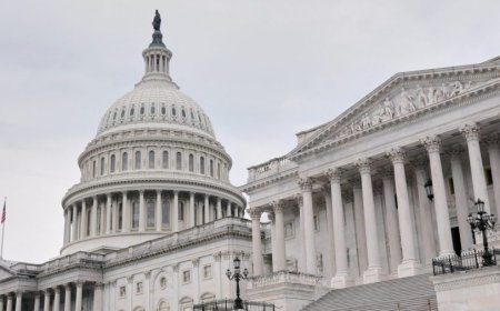 New York Dem Nydia Velázquez stepping down after 3 decades