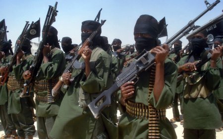 Somali terror group Al-Shabaab ‘taking a cut’ of millions in stolen Minnesota taxpayer money from welfare fraud scheme: report