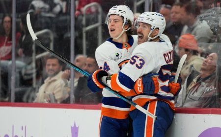 Islanders demolish Red Wings to close out dominant road trip in style