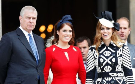 Ex-Prince Andrew fighting 'tooth and nail' to keep daughters protected from royal fallout: expert
