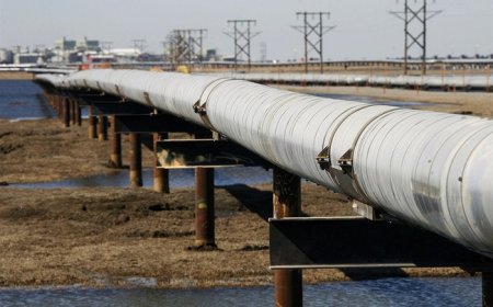 THE ESSEX FILES: Congress Restores Purpose to Alaska's Petroleum Reserve