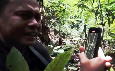 Biologist bawls eyes out in emotional video upon finding the world’s rarest flower — after searching for 13 years