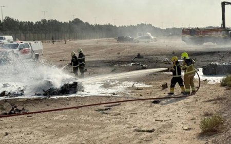 Fighter jet crashes at Dubai Air Show, pilot dead