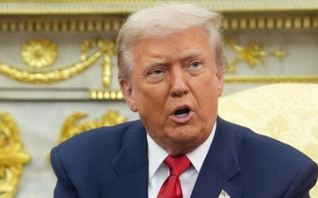 Trump: Thanksgiving deadline for Ukraine to commit to peace plan 'appropriate'