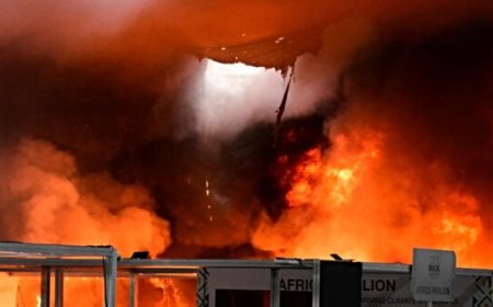 Watch: COP30 Climate Doomer Conference Engulfed in Smoke, Flames as Fire Breaks Out
