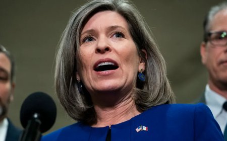 EXCLUSIVE: Ernst, Cruz Introduce Bill To Recover Billions From Biden Boondoggle