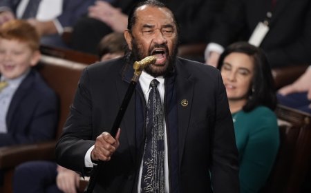 If at First You Don't Succeed, Fail, Fail Again: Al Green Vows to Impeach Trump Again Before Christmas