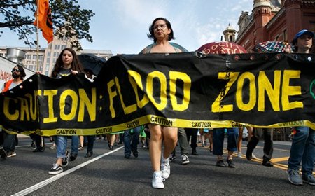 Saving the World, One Beating at a Time: Thuggery From Extinction Rebellion