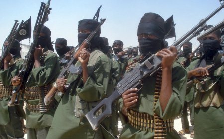 Minnesota taxpayer dollars funneled to Al-Shabaab terror group, report alleges