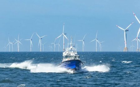 Left-Wing Activists Have A Plan To Hold Your Energy Prices Hostage