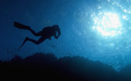 California diver recovers 15 bodies over two year period