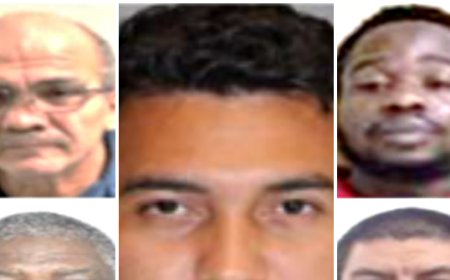 Exclusive: ICE Arrests Illegal Alien Pedophiles, Violent Convicts, Cocaine Dealers