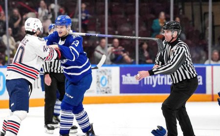 OHL suspends Luke Dragusica for remainder of season after violent head slashing incident