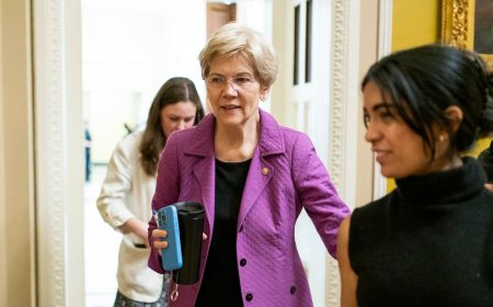 Warren: Trump ‘trying to take a little of the shine that Zohran Mamdani has'