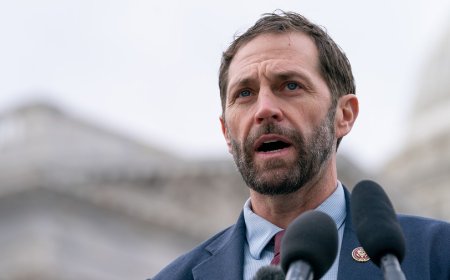 Democrat asks Capitol Police to investigate Trump sedition posts