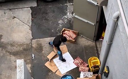 Stomach-churning video shows worker slamming frozen ribs on dirty pavement, forcing closure of Bay Area restaurant