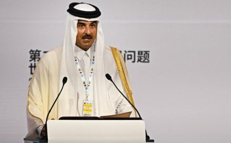 Qatar pumping tens of billions into universities to help Muslim Brotherhood weaken US, ‘destroy democracy’
